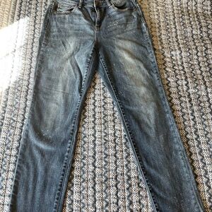 Judy Blue Dark Wash Skinny Jeans